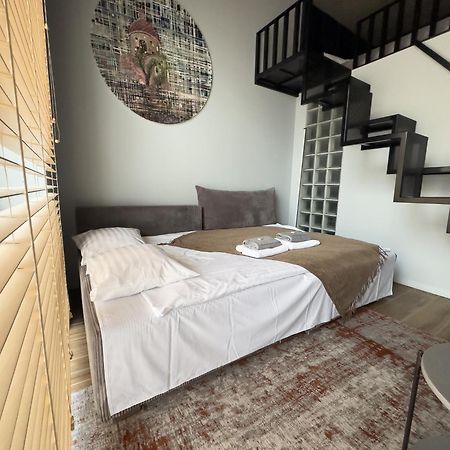 Ivis House Modern Apartment In Vilnius Old Town With Balcony VNO Exteriör bild